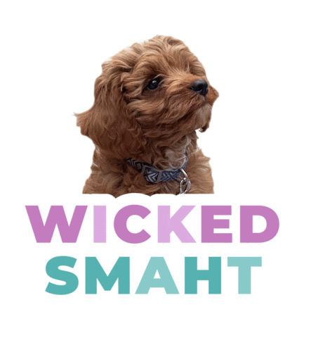 Dog Puppy Sticker by theinstagramexpert