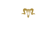Fitness Gym Sticker by SelfTurn