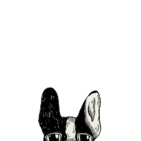 Space Work Sticker by Casa Andina Hoteles