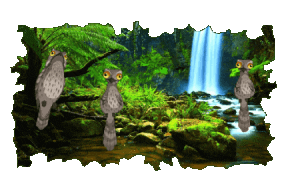 Forest Trees Sticker