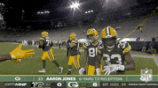 National Football League GIF by NFL