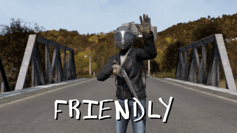 Dayz GIF