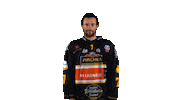 Hockey Love Sticker by HC Pustertal Wolves
