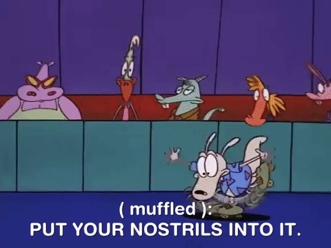 rockos modern life nicksplat GIF