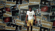 Georgia Tech Football GIF by Georgia Tech Yellow Jackets