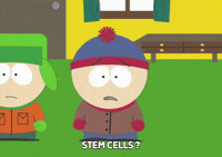 stan marsh GIF by South Park 