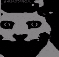 Thousand Yard Stare What GIF