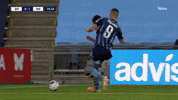 Dif Djurgårdens If GIF by AIK