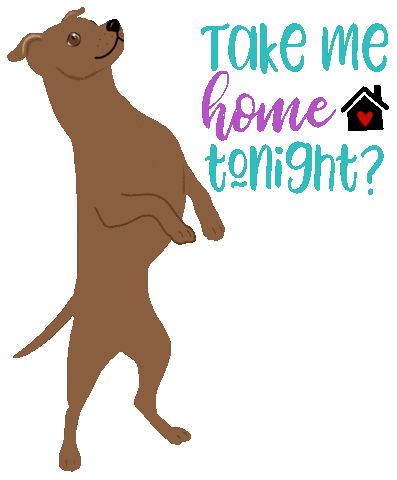 Dog Adopt Sticker by HeARTs Speak
