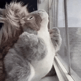 Home Alone Dancing GIF