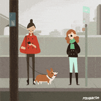 animation domination lol GIF