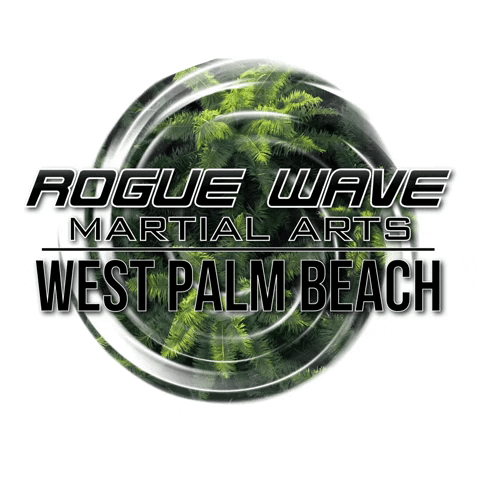 RougeWavePalmBeach giphyupload roguewave GIF