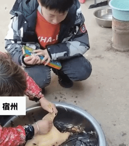 yj_jane giphygifmaker GIF