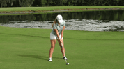rollwave cantwell GIF by GreenWave