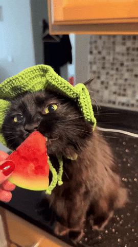 Watermelon GIF