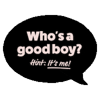 Cat Dog Sticker by Itch.