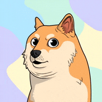 Shiba Inu Wow GIF by Doge Pound