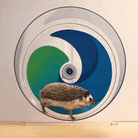 Loop Run GIF by Microsoft Edge