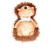Congratulations Love GIF by LUFUDUFU