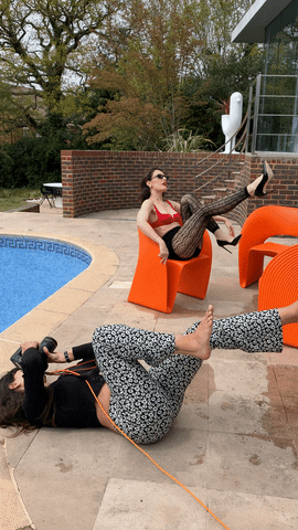 larabampfylde9254 giphyupload GIF