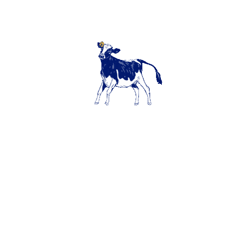 altadenadairy delicious milk cow cows Sticker