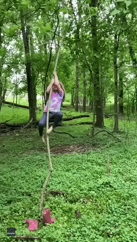 Clever Kid Climbs Tree to Bring Leafy Snack Down to Pet Goats in Tennessee