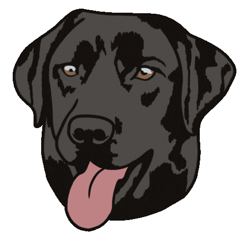 Black Lab Dog Sticker by the lifestyled co