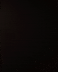 linneabullion halloween creepy spooky spider GIF