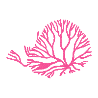 Neoflobbis Sticker by Distroller