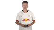 Ea Sports Fifa Sticker by Bundesliga