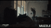 Action Movie Prime Video GIF by Signature Entertainment