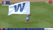 Chicago Cubs Baseball GIF