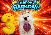 Birthday Benji GIF