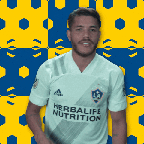 Los Angeles Ok GIF by Major League Soccer