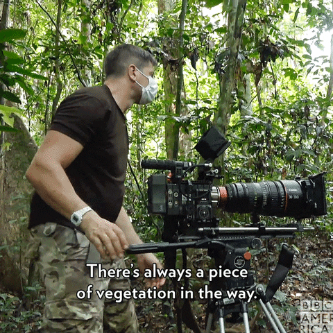 Behind The Scenes Wildlife GIF by BBC America