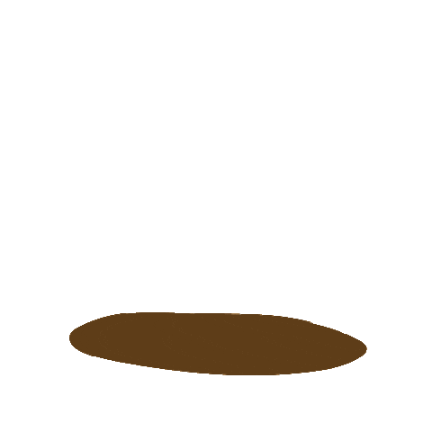 Peeping Sticker by Allie the Ellie for iOS & Android | GIPHY