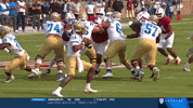gostanford  GIF