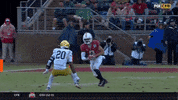 gostanford  GIF