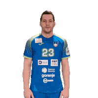 Handball Euro Sticker by Rokometna zveza