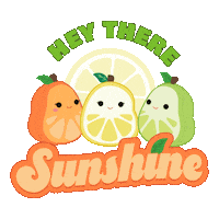 Summer Orange Sticker by Squishmallows