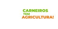 prefeituradecarneiros alagoas brt geraldo carneiros Sticker