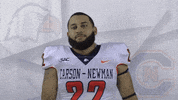 Carson Newman Football GIF by Carson-Newman Athletics