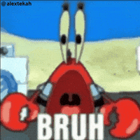 Sponge Bob Wtf GIF