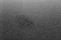 wim wenders GIF by Maudit
