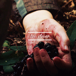 the hunger games GIF