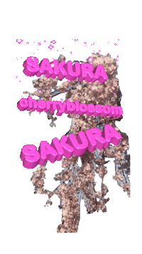 Spring Has Come Pink Sticker by KaoruHironaka