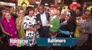2016 GIF by Hairspray Live!