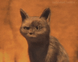 Shocked Puss In Boots GIF