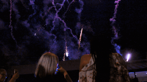 Excited Fireworks GIF by University of South Carolina