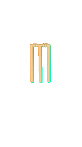 SportEx giphyupload cricket ipl sportex Sticker